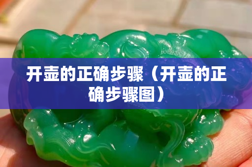 开壶的正确步骤（开壶的正确步骤图）