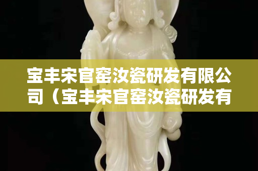 宝丰宋官窑汝瓷研发有限公司（宝丰宋官窑汝瓷研发有限公司地址）