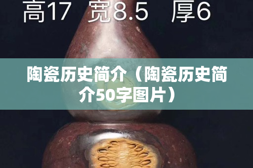 陶瓷历史简介（陶瓷历史简介50字图片）