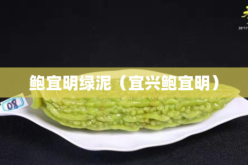 鲍宜明绿泥（宜兴鲍宜明）