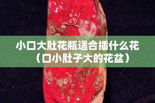 小口大肚花瓶适合插什么花（口小肚子大的花盆）