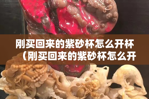 刚买回来的紫砂杯怎么开杯（刚买回来的紫砂杯怎么开杯视频）