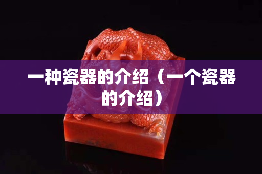 一种瓷器的介绍（一个瓷器的介绍）