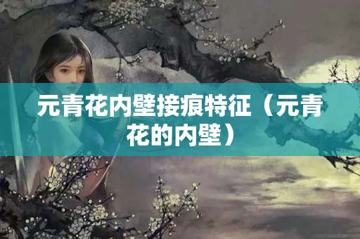 元青花内壁接痕特征（元青花的内壁）