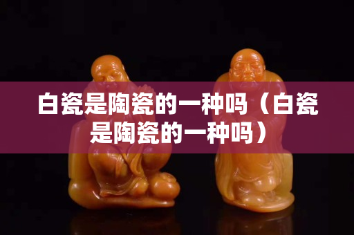 白瓷是陶瓷的一种吗（白瓷是陶瓷的一种吗）