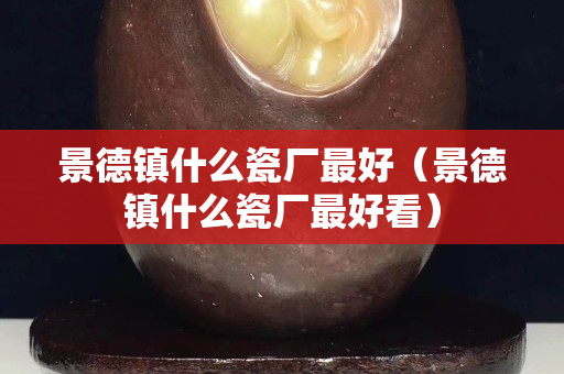 景德镇什么瓷厂最好（景德镇什么瓷厂最好看）