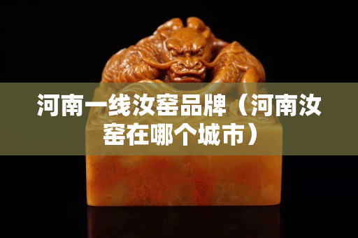 河南一线汝窑品牌（河南汝窑在哪个城市）