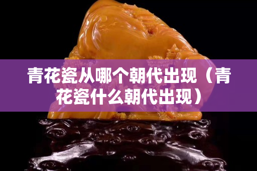 青花瓷从哪个朝代出现（青花瓷什么朝代出现）