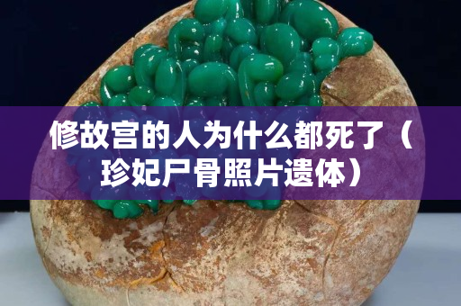 修故宫的人为什么都死了（珍妃尸骨照片遗体）