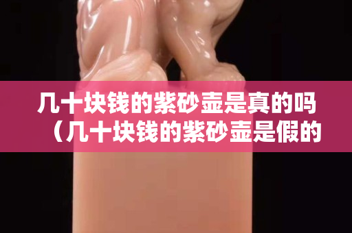 几十块钱的紫砂壶是真的吗（几十块钱的紫砂壶是假的吗）