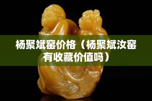 杨聚斌窑价格（杨聚斌汝窑有收藏价值吗）