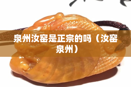 泉州汝窑是正宗的吗（汝窑 泉州）