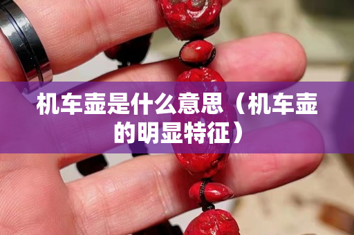 机车壶是什么意思（机车壶的明显特征）