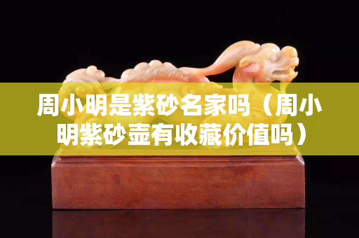 周小明是紫砂名家吗（周小明紫砂壶有收藏价值吗）