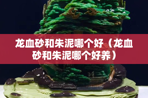 龙血砂和朱泥哪个好（龙血砂和朱泥哪个好养）