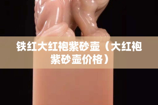 铁红大红袍紫砂壶（大红袍紫砂壶价格）