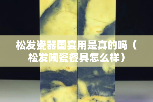 松发瓷器国宴用是真的吗（松发陶瓷餐具怎么样）