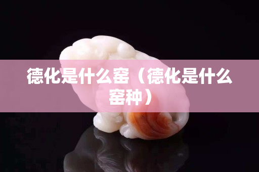 德化是什么窑（德化是什么窑种）
