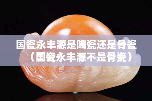 国瓷永丰源是陶瓷还是骨瓷（国瓷永丰源不是骨瓷）