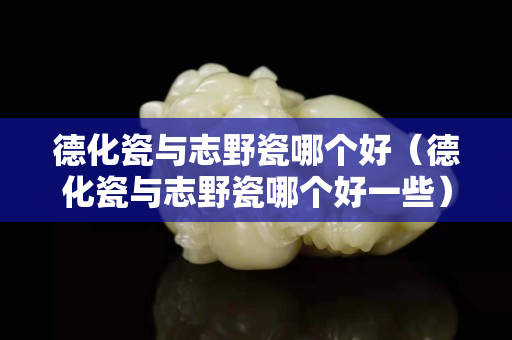 德化瓷与志野瓷哪个好（德化瓷与志野瓷哪个好一些）