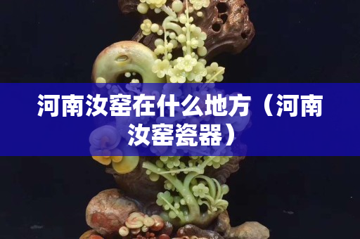 河南汝窑在什么地方（河南汝窑瓷器）