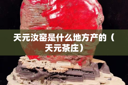 天元汝窑是什么地方产的（天元茶庄）