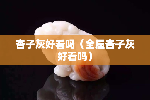杏子灰好看吗（全屋杏子灰好看吗）