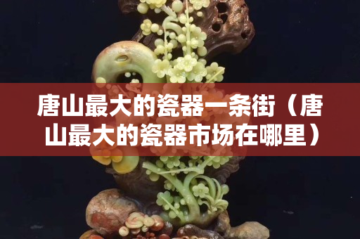 唐山最大的瓷器一条街（唐山最大的瓷器市场在哪里）