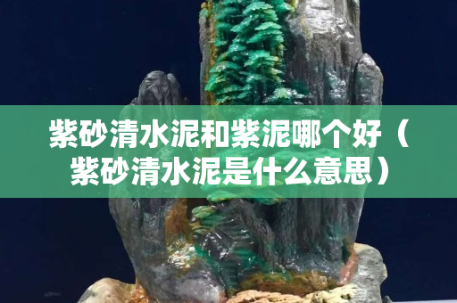 紫砂清水泥和紫泥哪个好（紫砂清水泥是什么意思）