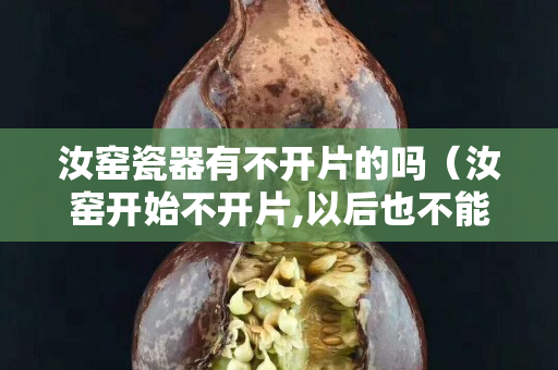 汝窑瓷器有不开片的吗（汝窑开始不开片,以后也不能开片吗？）