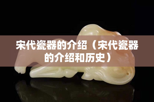 宋代瓷器的介绍（宋代瓷器的介绍和历史）