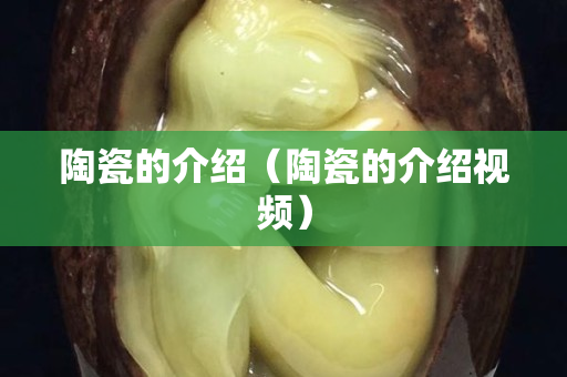陶瓷的介绍（陶瓷的介绍视频）