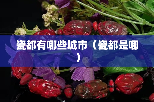 瓷都有哪些城市（瓷都是哪）