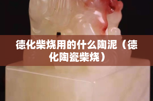 德化柴烧用的什么陶泥（德化陶瓷柴烧）