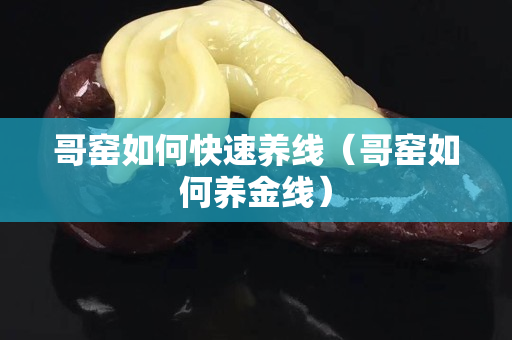 哥窑如何快速养线（哥窑如何养金线）