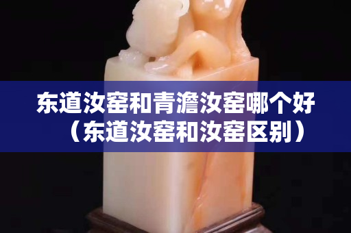 东道汝窑和青澹汝窑哪个好（东道汝窑和汝窑区别）