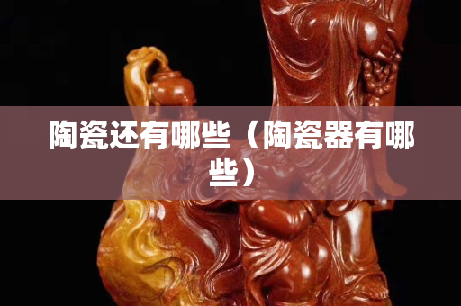 陶瓷还有哪些（陶瓷器有哪些）