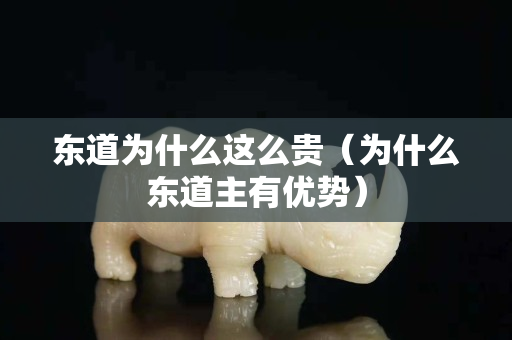 东道为什么这么贵（为什么东道主有优势）