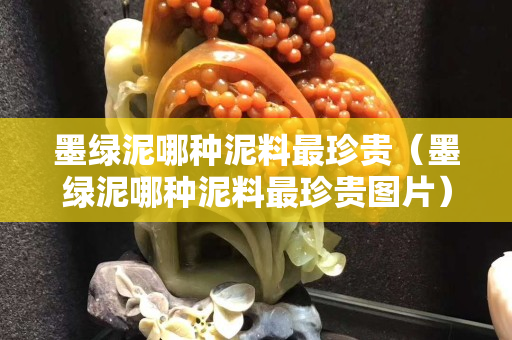 墨绿泥哪种泥料最珍贵（墨绿泥哪种泥料最珍贵图片）