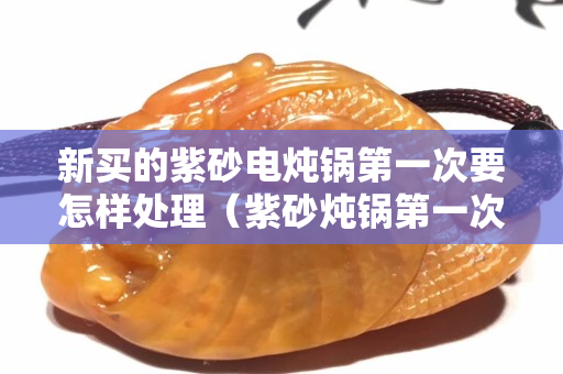 新买的紫砂电炖锅第一次要怎样处理（紫砂炖锅第一次用之前要怎么处理）