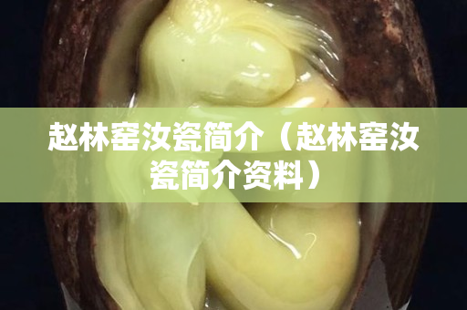 赵林窑汝瓷简介（赵林窑汝瓷简介资料）