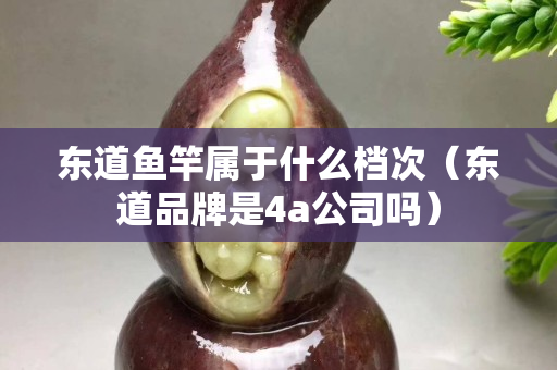 东道鱼竿属于什么档次（东道品牌是4a公司吗）