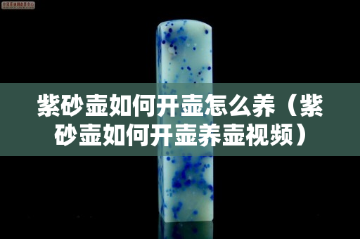 紫砂壶如何开壶怎么养（紫砂壶如何开壶养壶视频）