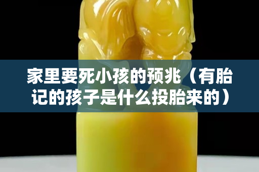 家里要死小孩的预兆（有胎记的孩子是什么投胎来的）