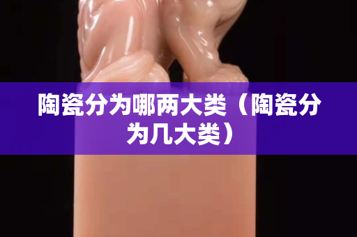陶瓷分为哪两大类（陶瓷分为几大类）
