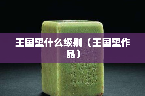 王国望什么级别（王国望作品）