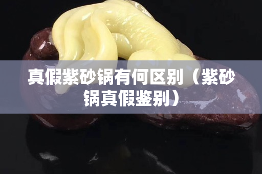 真假紫砂锅有何区别（紫砂锅真假鉴别）