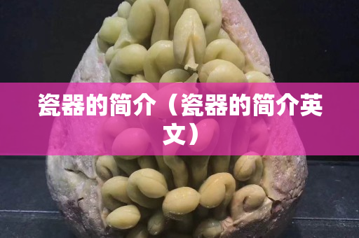 瓷器的简介（瓷器的简介英文）