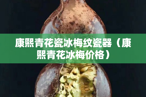 康熙青花瓷冰梅纹瓷器（康熙青花冰梅价格）