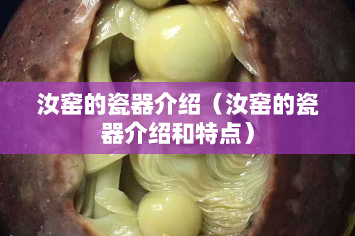 汝窑的瓷器介绍（汝窑的瓷器介绍和特点）